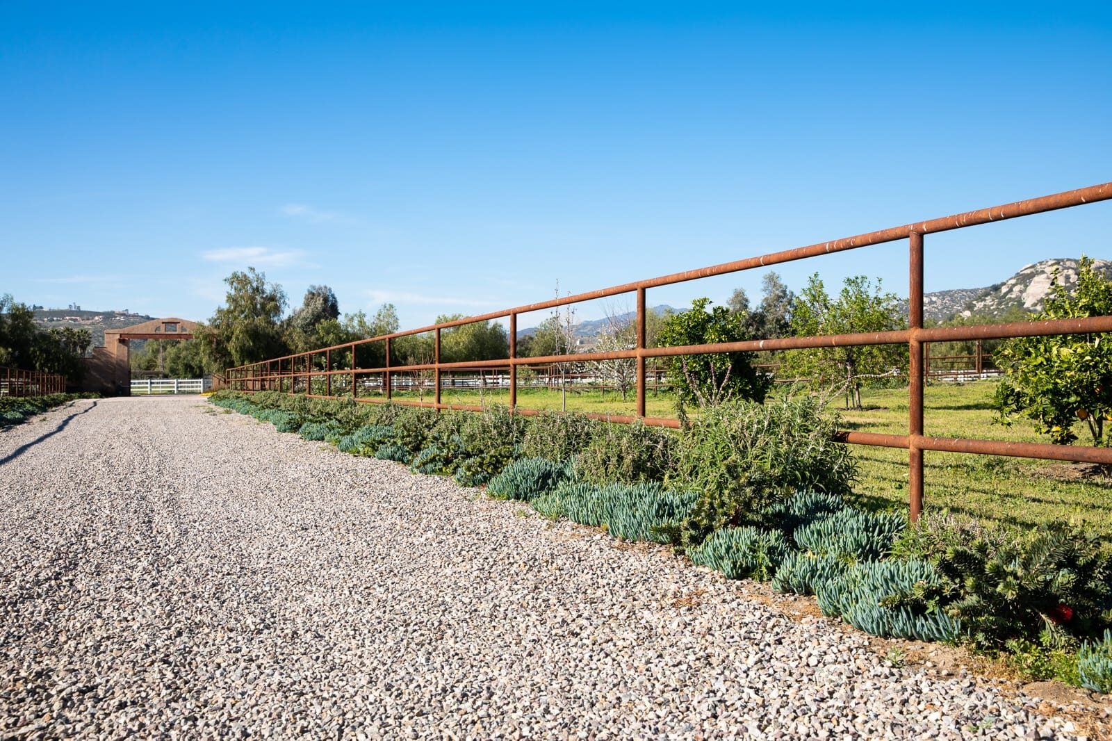 Weathered drill-pipe ranch fencing across a custom horse property