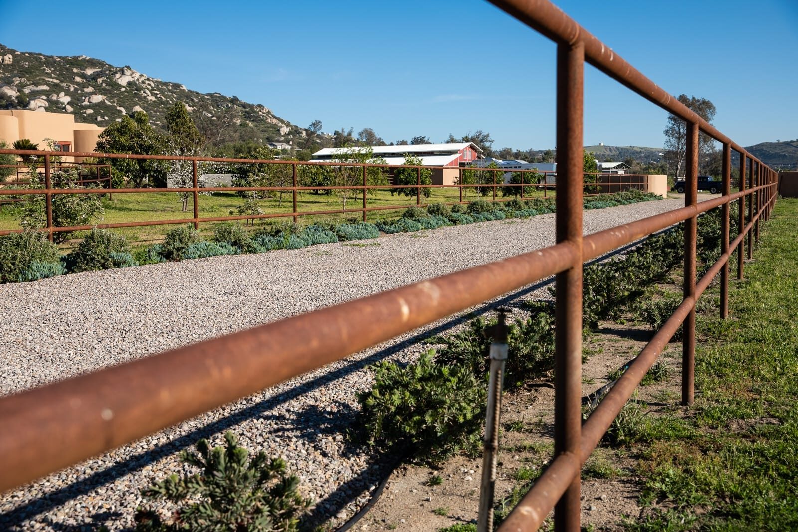 Weathered drill-pipe ranch fencing across a custom horse property, finished installation
