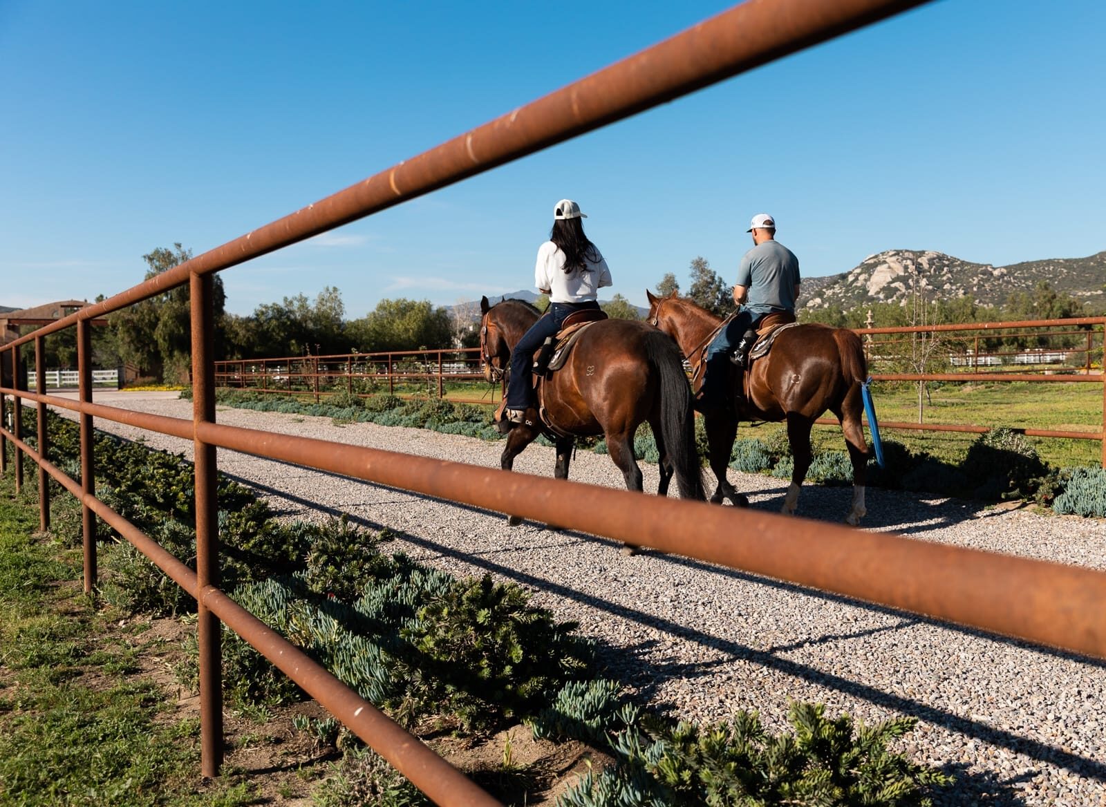 Weathered drill-pipe ranch fencing across a custom horse property, close-up