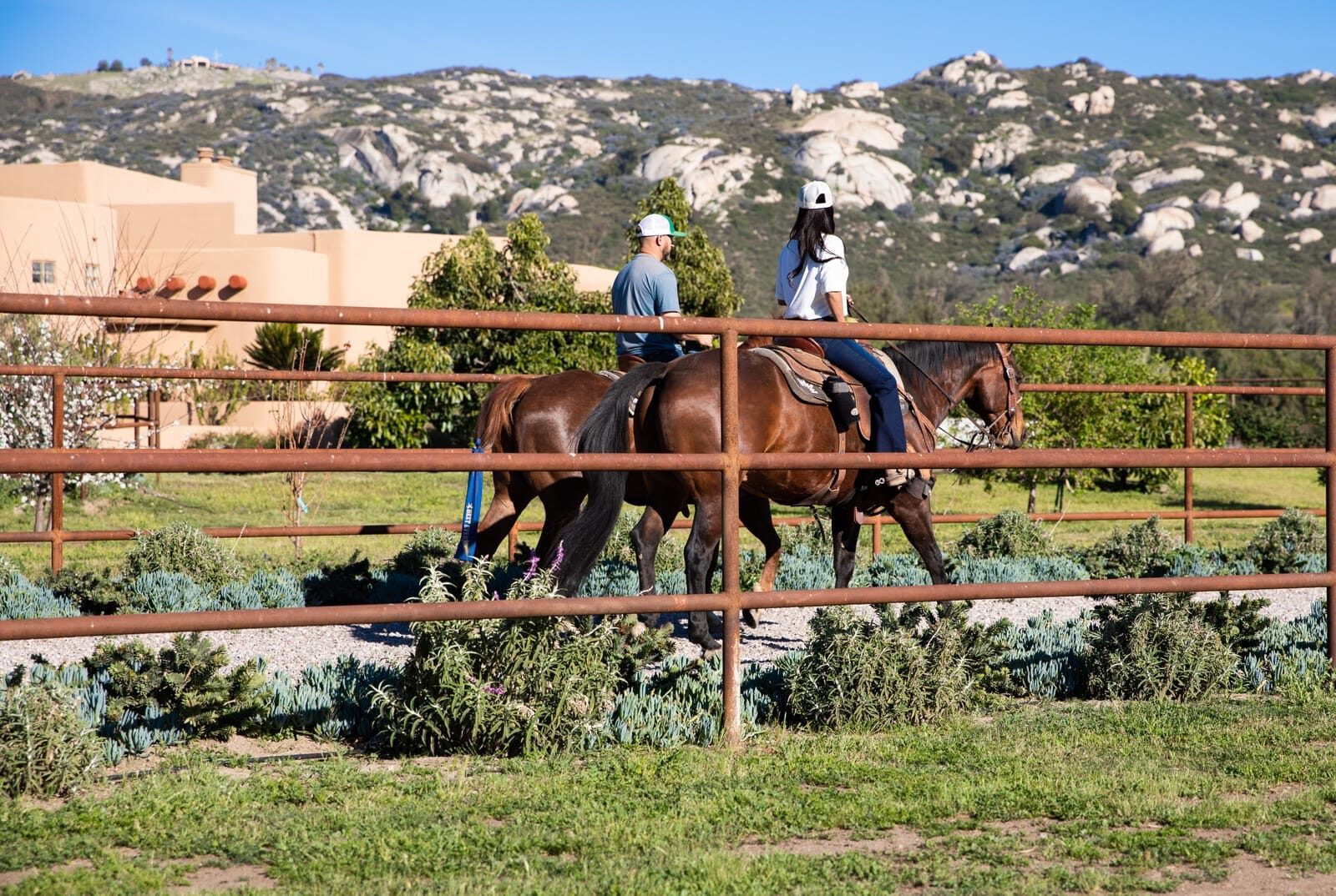 Weathered drill-pipe ranch fencing across a custom horse property