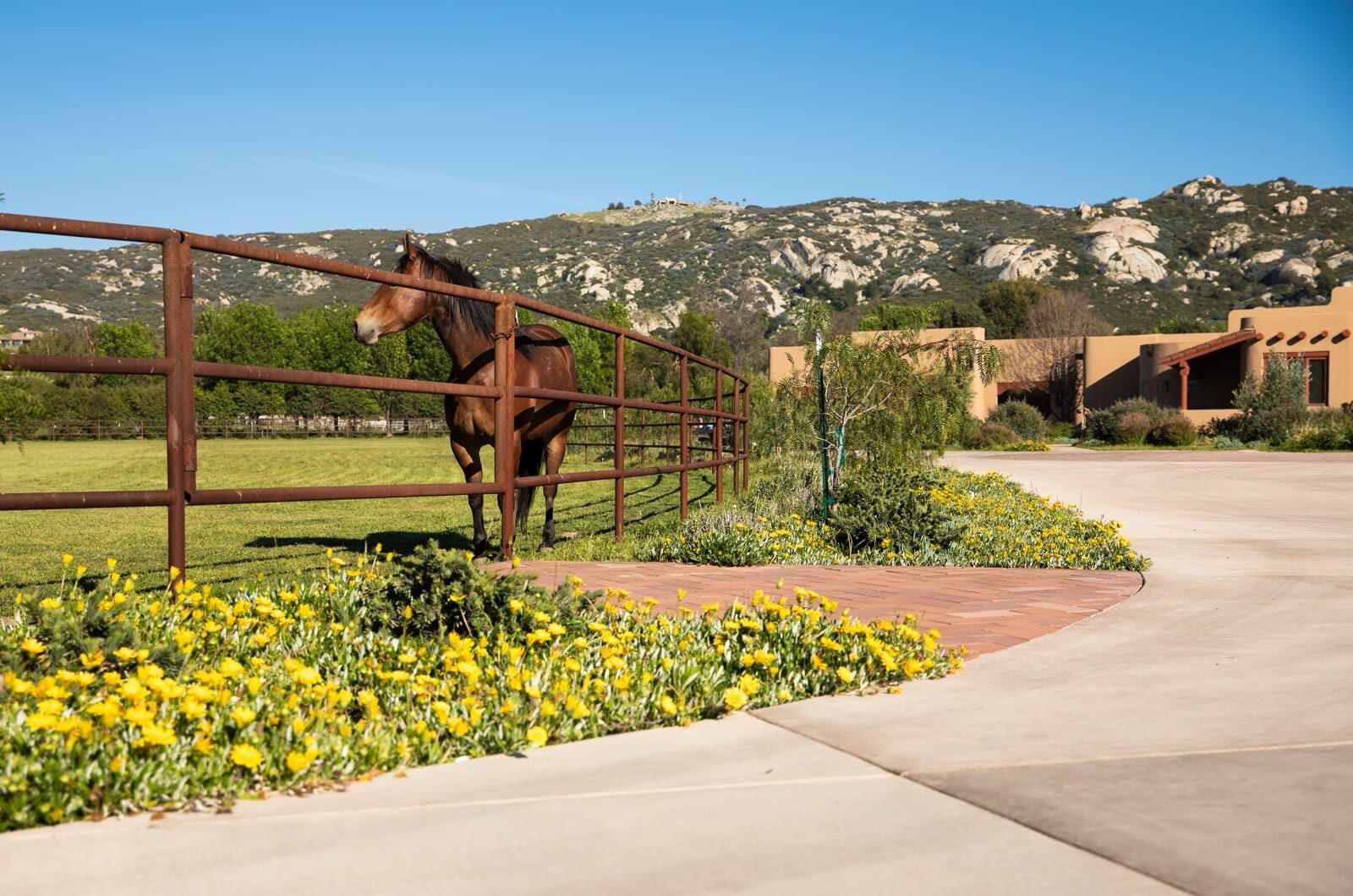 Weathered drill-pipe ranch fencing across a custom horse property, detail