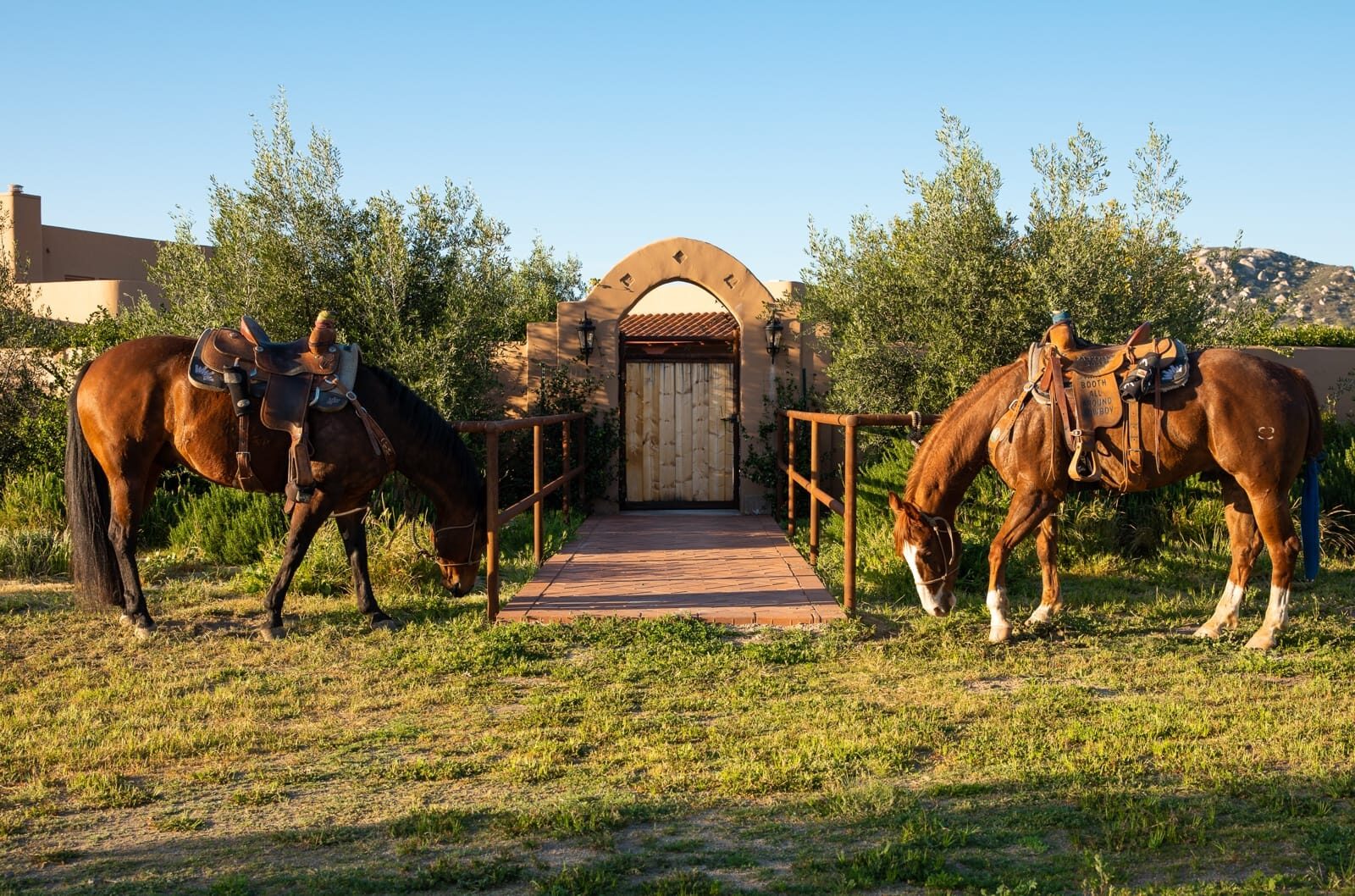 Weathered drill-pipe ranch fencing across a custom horse property, detail