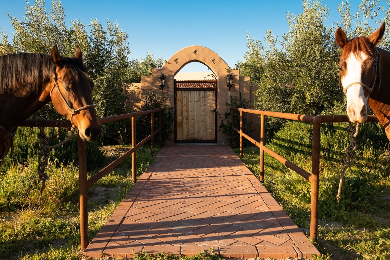 Weathered drill-pipe ranch fencing across a custom horse property, on-site fabrication