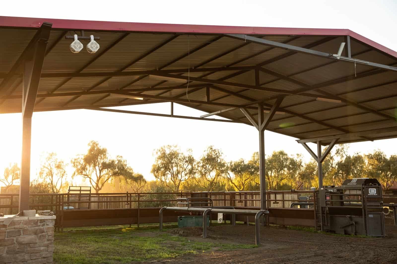 Steel I-beam covered arena and shade pavilion with tube-steel columns, close-up