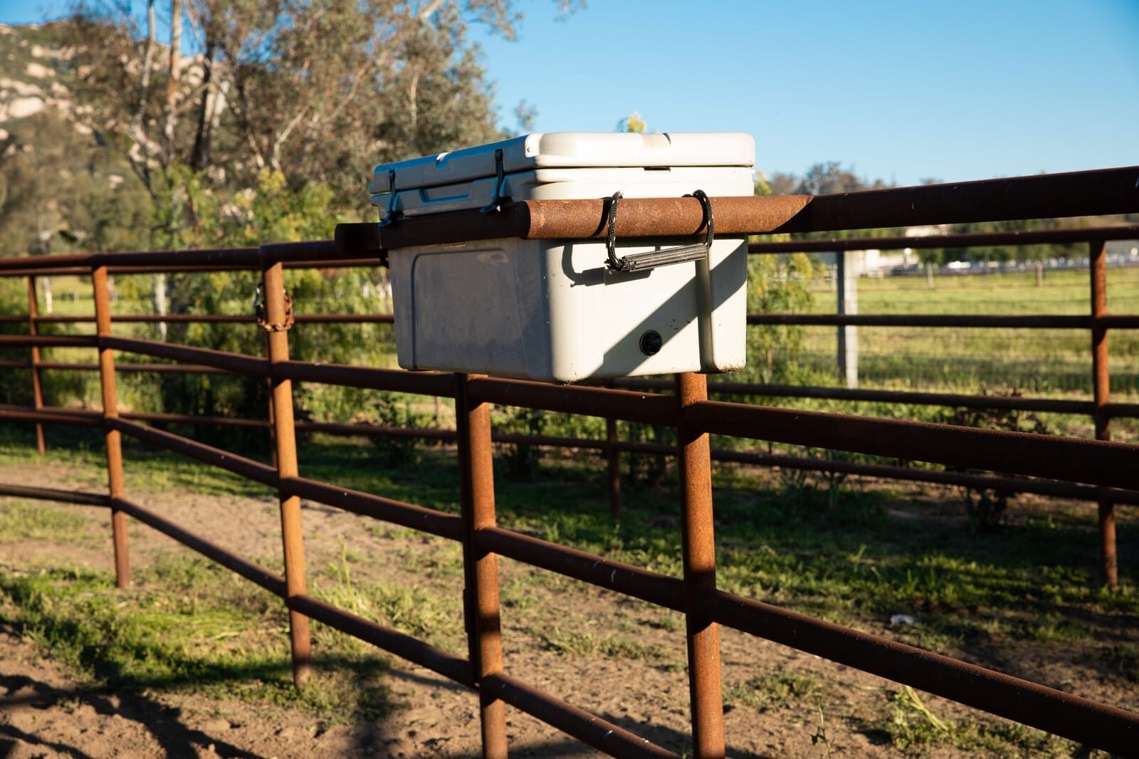 Weathered drill-pipe ranch fencing across a custom horse property, on-site fabrication