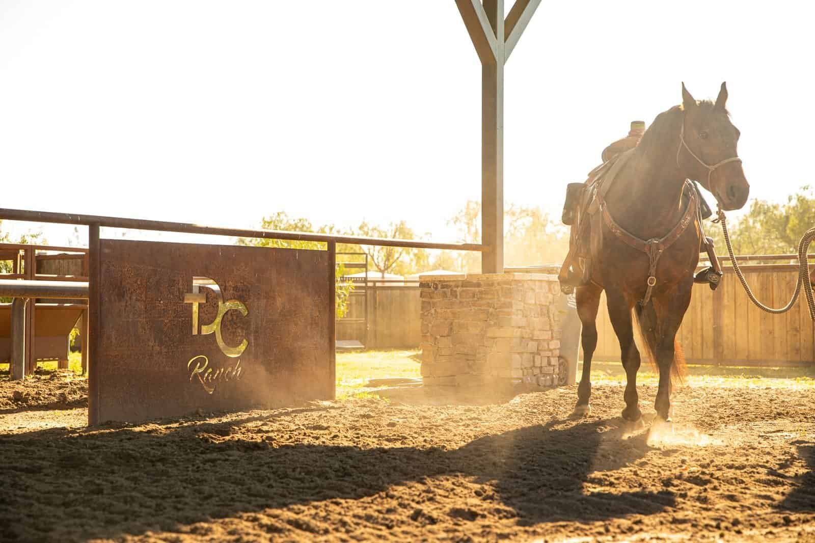 Horse in a covered arena beside the custom DC Ranch entry sign at golden hour